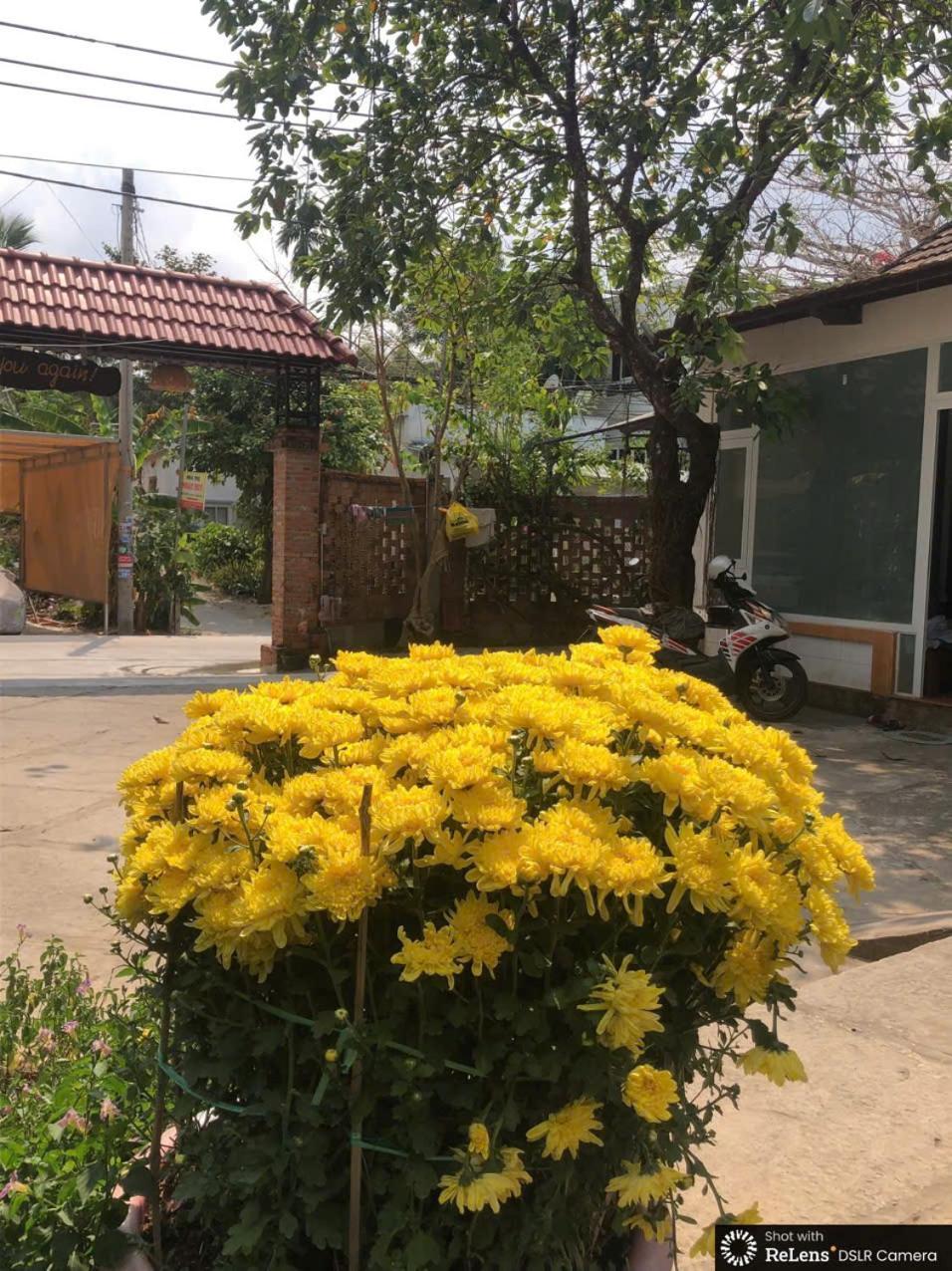 Hotel Gecko House Phu Quoc Esterno foto